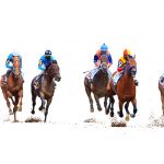 競馬の予想をしよう！？100円が最高6億円の可能性も