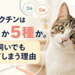 猫のワクチンは3種か5種か。室内飼いでも迷ってしまう理由